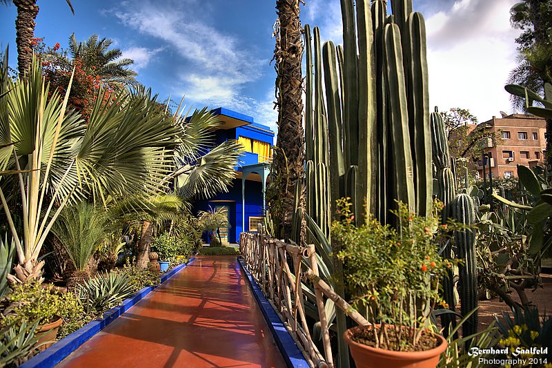 Bernhard Saalfeld - Jardin Majorelle